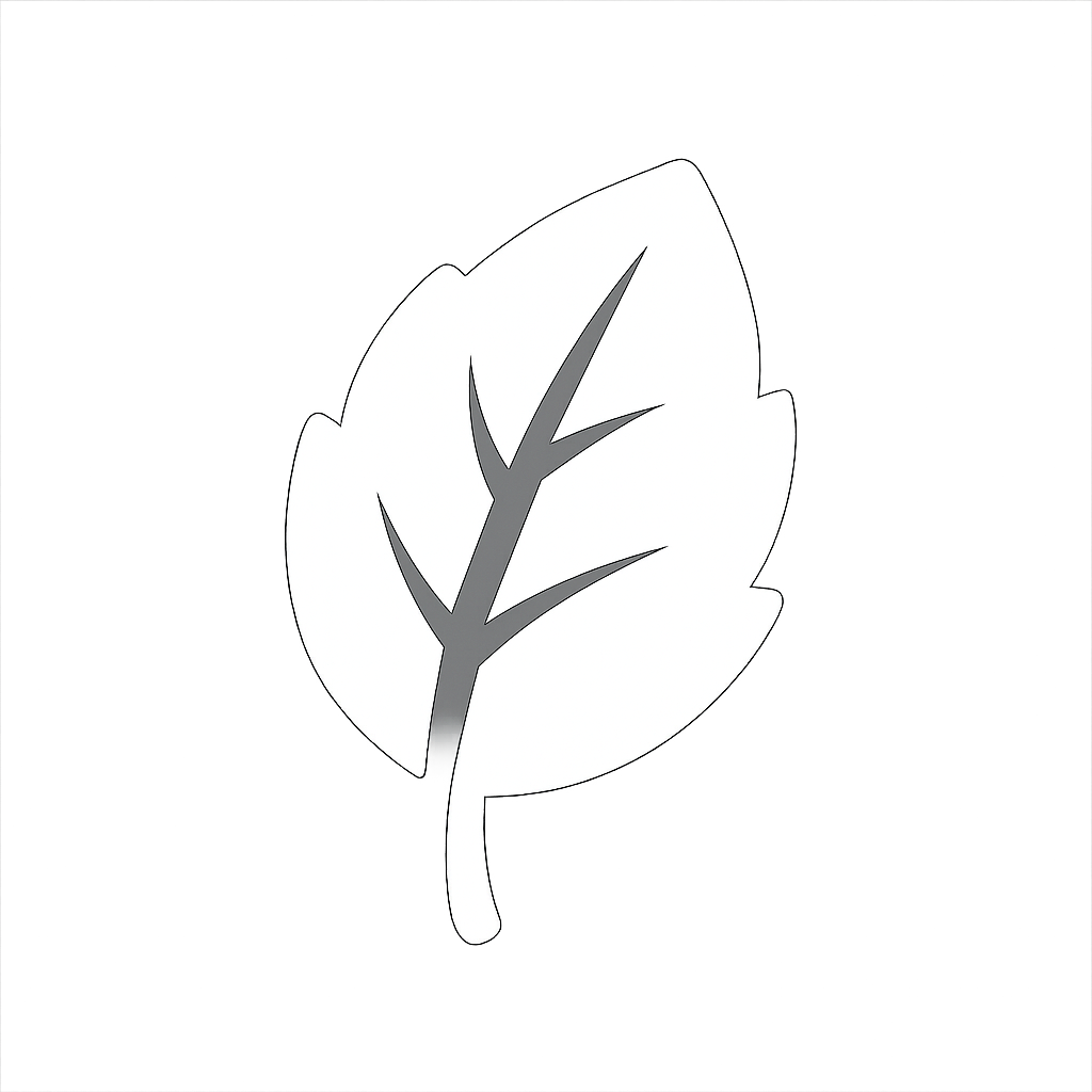 Mintly Logo